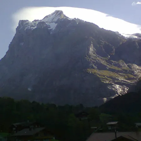 Burgenerszaun Grindelwald