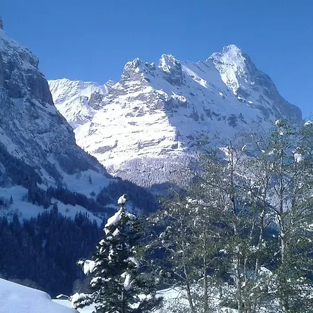 Burgenerszaun * Grindelwald