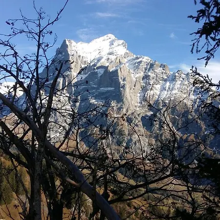 Appartement Burgenerszaun Grindelwald